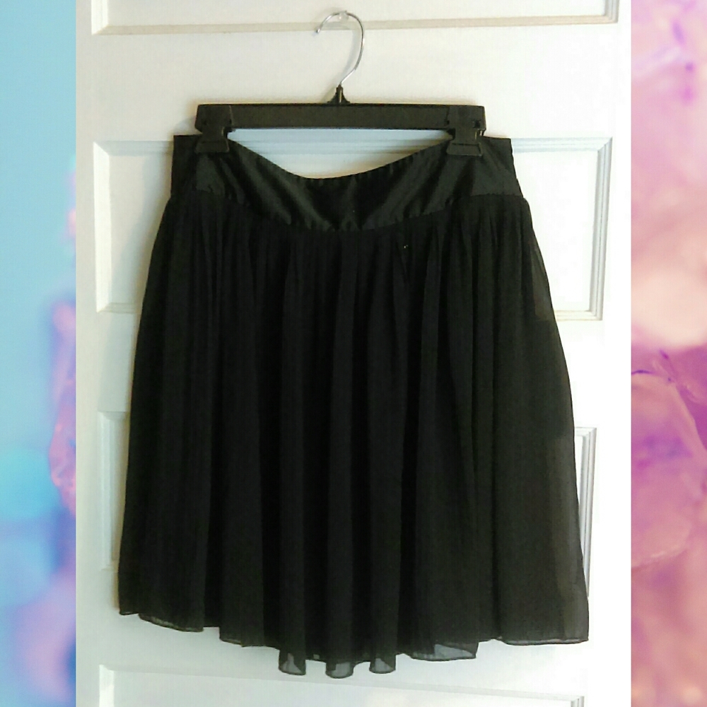 Pleated Black Mesh Chiffon Skater Skirt